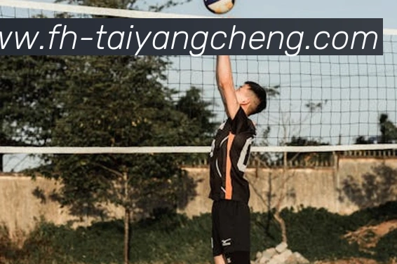 多媒体互动体验