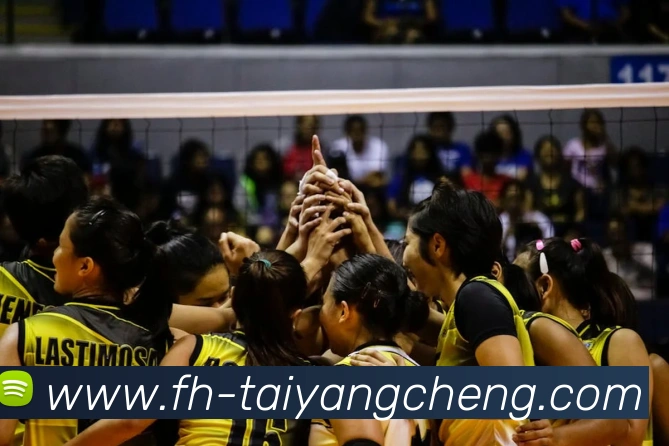 澳门太阳城官网APP 体育赛事宣传图